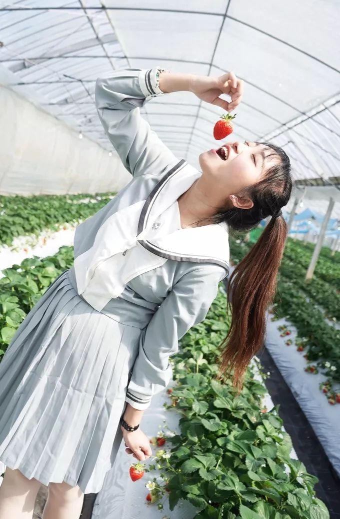 快上车!不然熊本熊列车就开走啦!