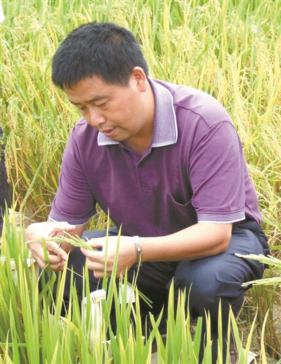 躬身田间的专家型"农民"