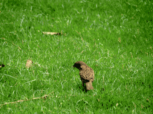 526_392gif 动态图 动图