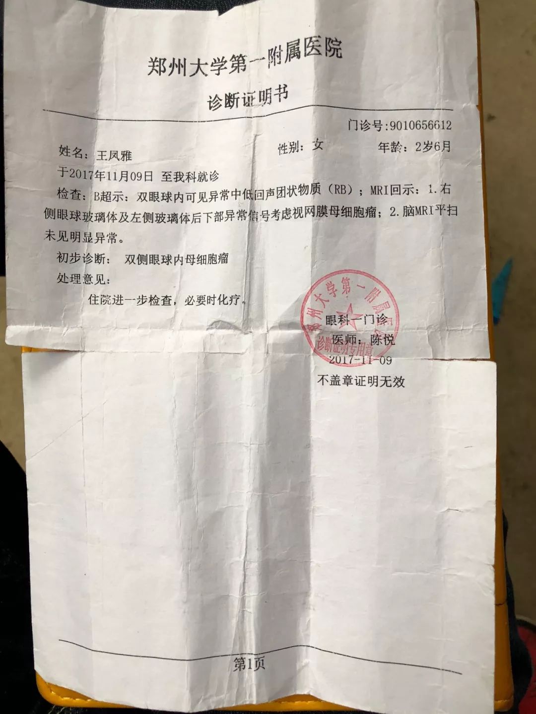 "王凤雅事件"调查:双输的爱|王夏|志愿者|癌症_新浪新闻