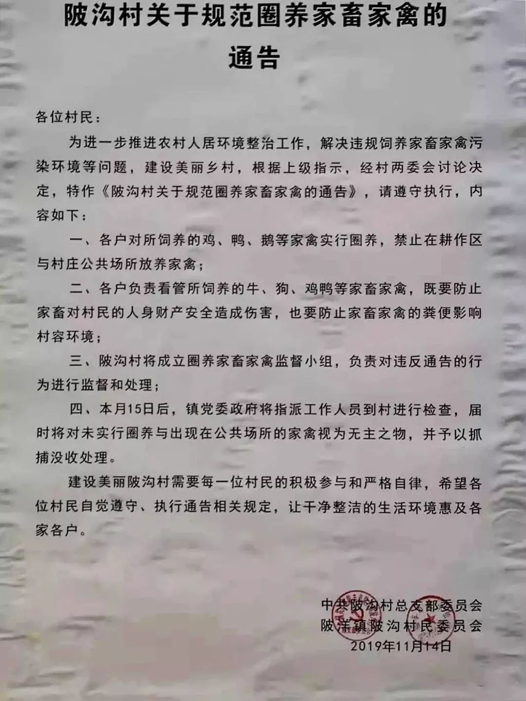 想无!陆丰某村发通告:家禽不圈养将抓捕没收!