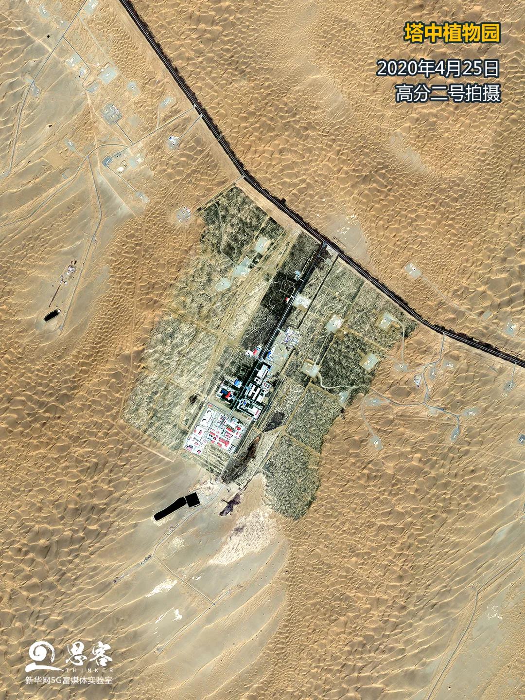 卫星告诉你中国人种树有多牛