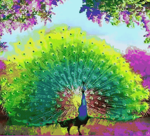 482_437gif 动态图 动图