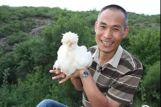 返乡创业的艰难与欣慰|视觉中国|新技术|曹臻一_新浪新闻