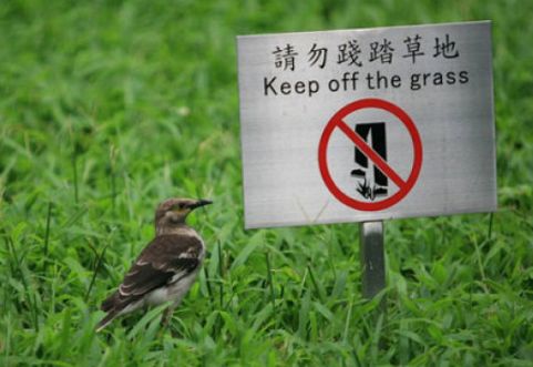 银川人来说说你身边的不文明行为可能会拿到奖励哦