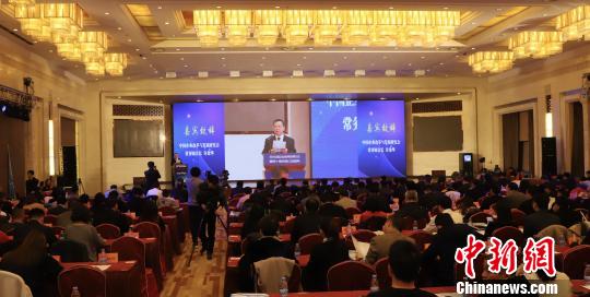 中国企业改革与发展研究会常务副会长许金华在现场发言。主办方供图