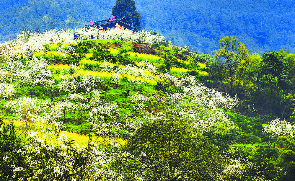 新津以全域旅游为路径建设美丽宜居公园城市|城市建设|新津|梨花_新浪