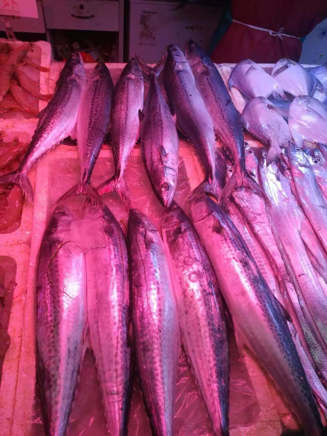 去市场买鱼，这5种鱼放心买，纯野生的，人工没法养，便宜还美味_海鱼