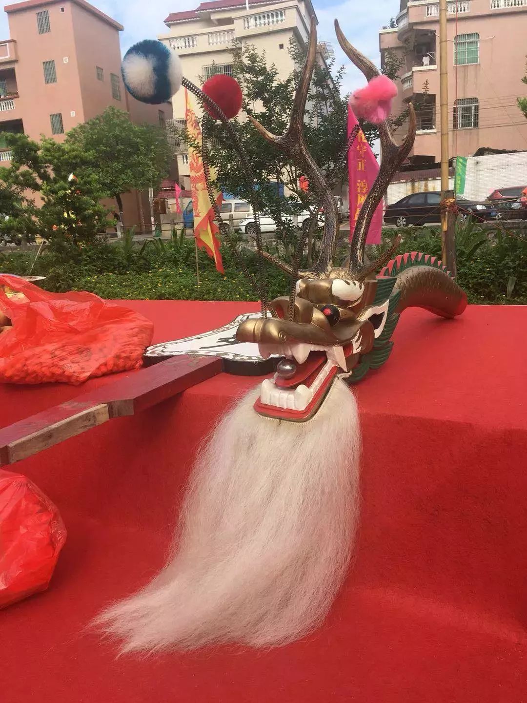 视频 多图直击:全国现存最老,586岁的盐步老龙今天"苏醒"