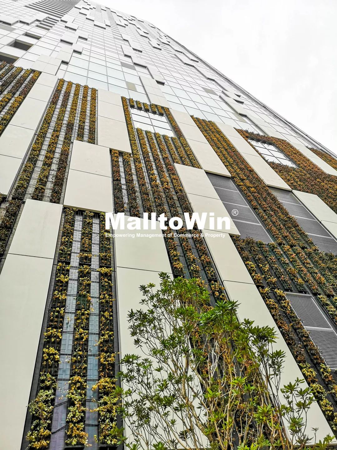 投资2600亿日元,这个TOD项目号称百年