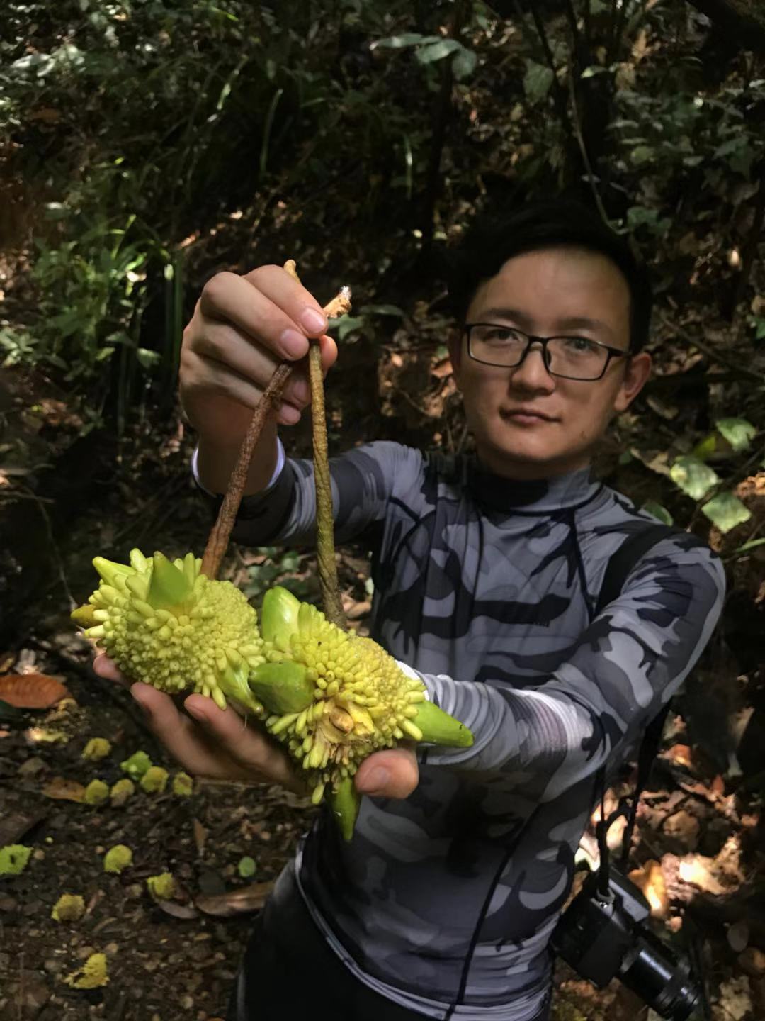 水果猎人杨晓洋