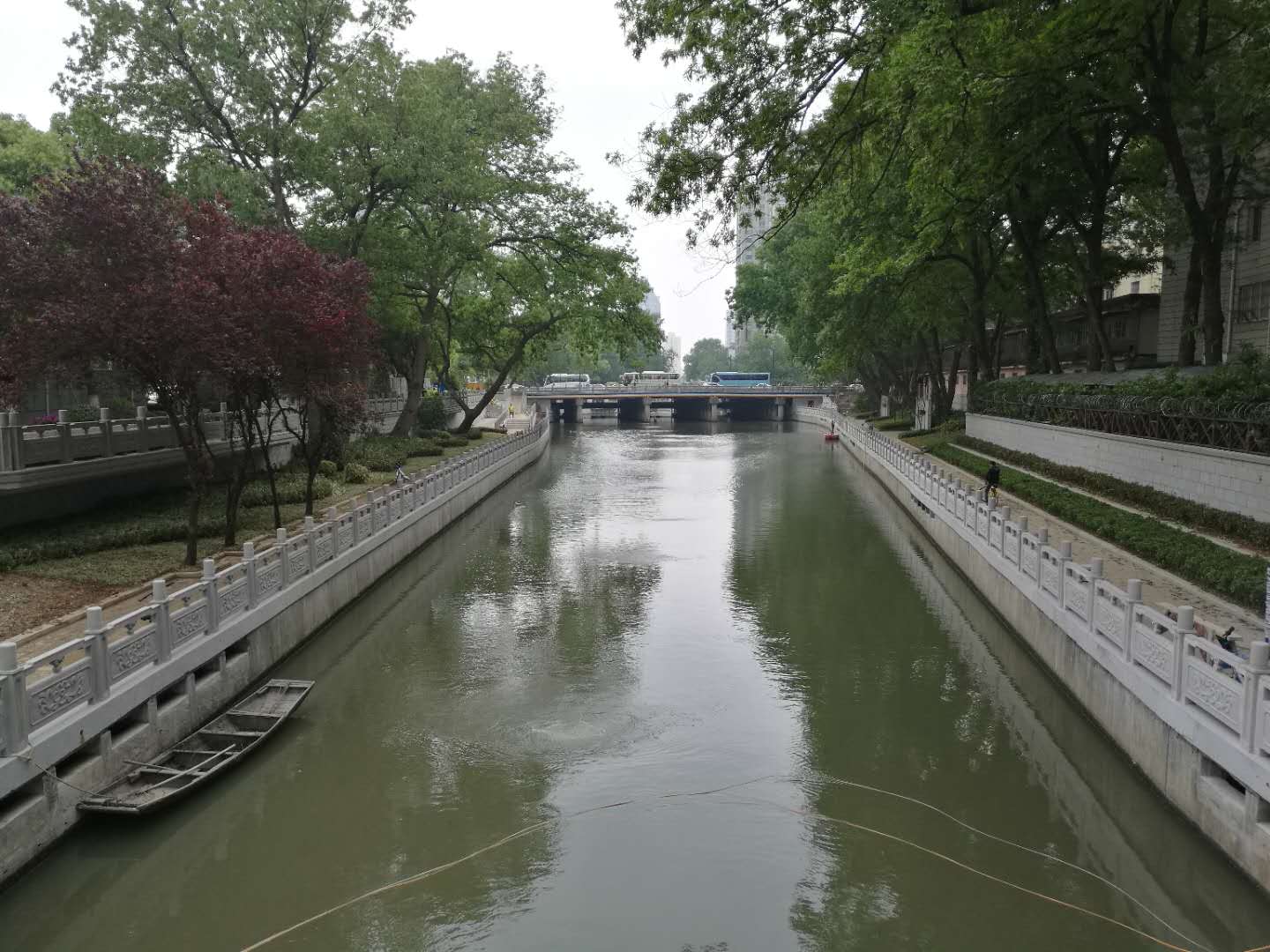 秦淮河畔市民有福了内秦淮东段重现水清岸绿景美