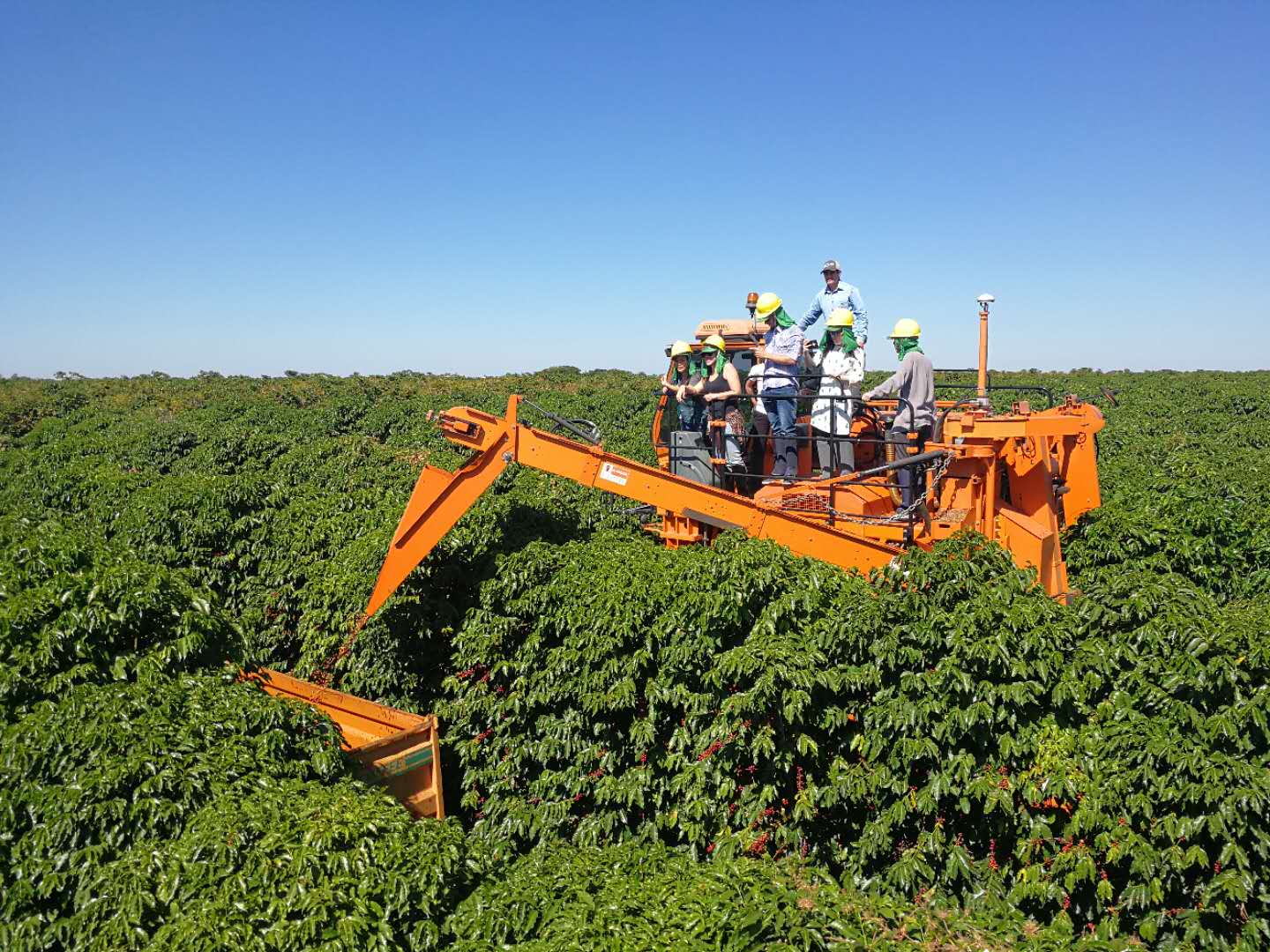 巴西农业 960亿美元出口背后的秘密