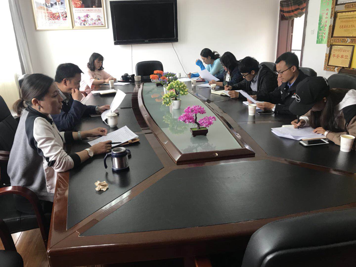 曲水县文旅新广局组织召开拉北环线千人行动之秀色才纳点协调部署会议