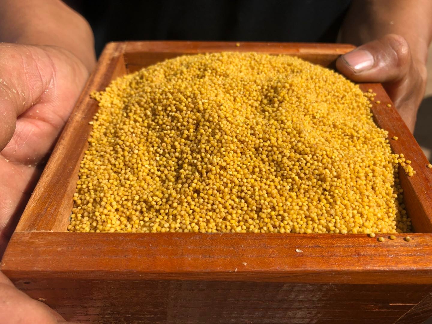 电商精准扶贫实现整村脱贫 山西武乡打响小米品牌