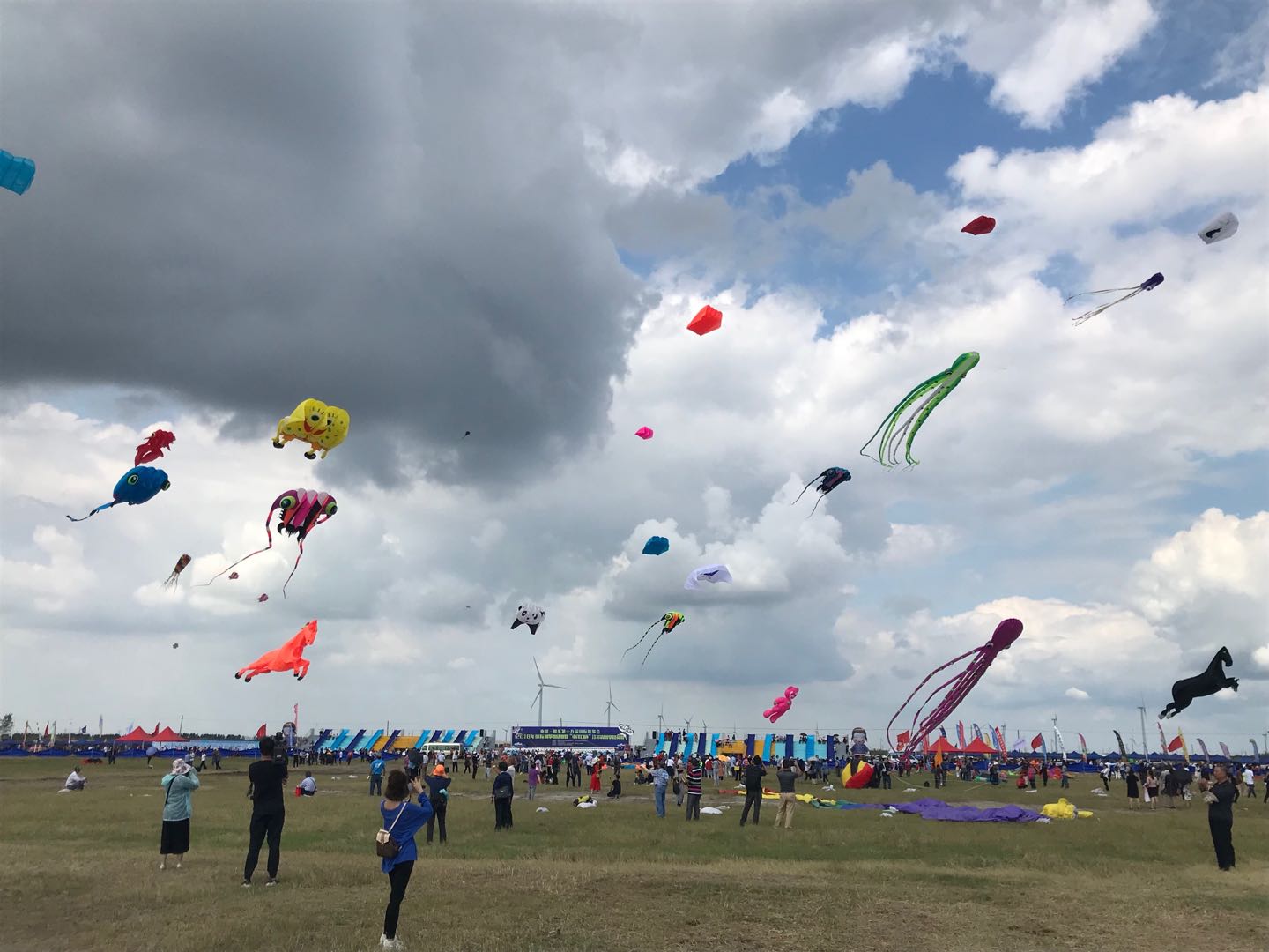 南黄海边奏响空中交响乐 中国如东第十九