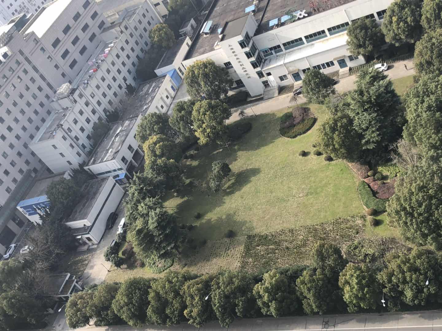 1549424115785125.jpg