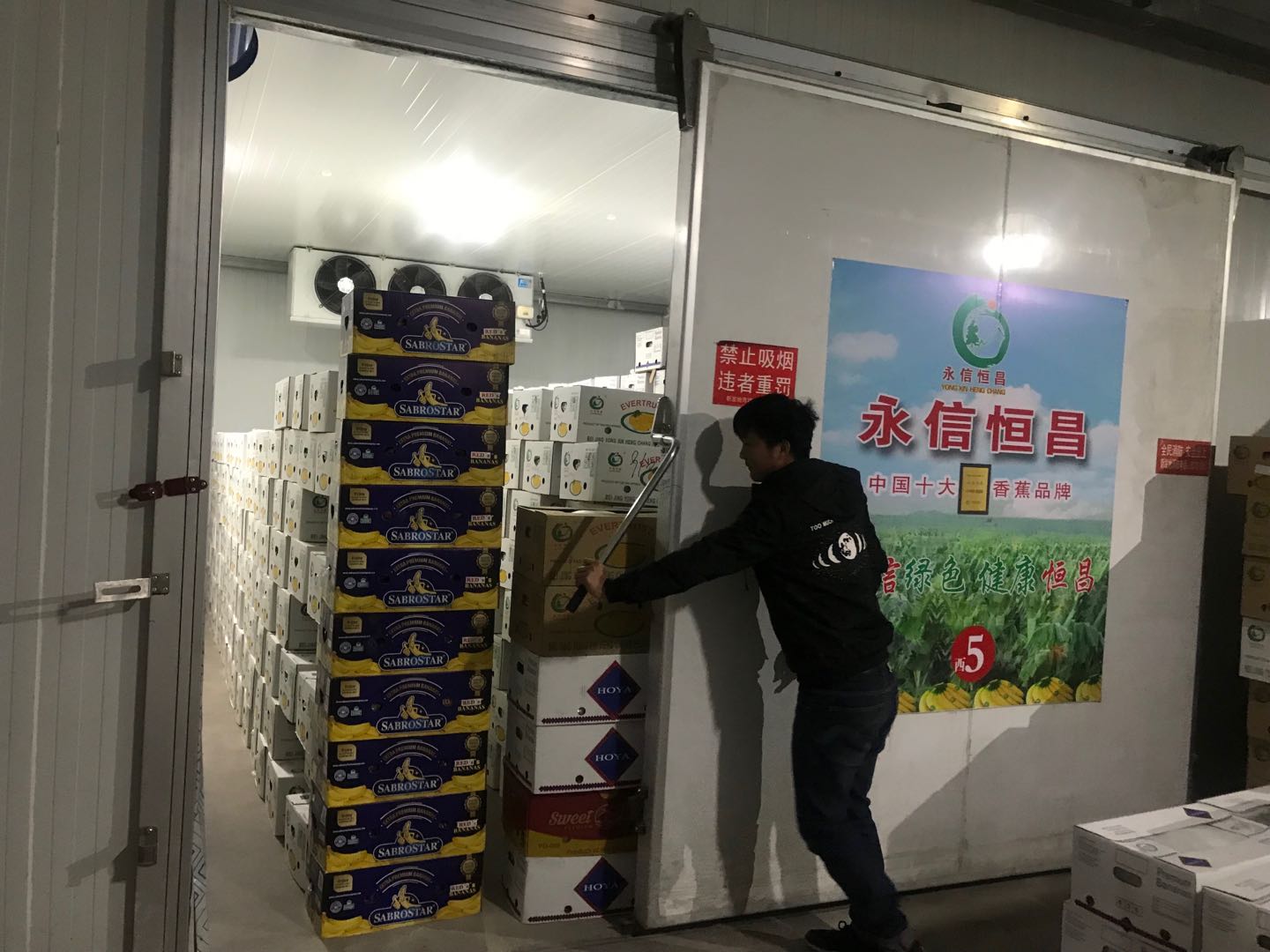 新发地新建香蕉气调库投入使用目前仅加工进口香蕉