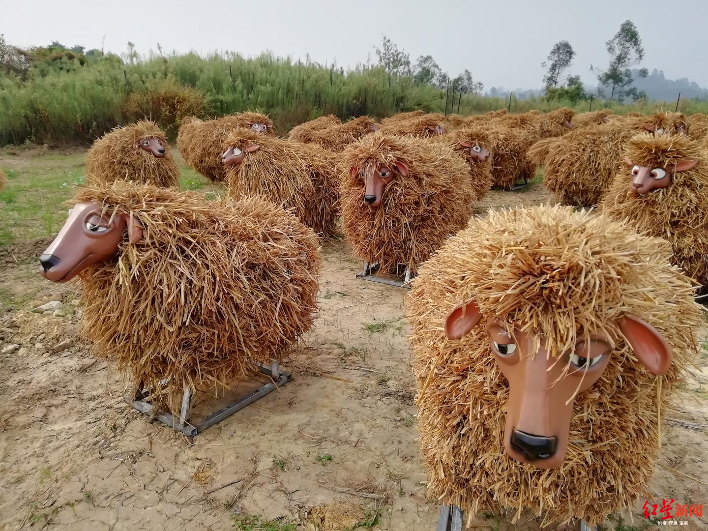 中国彩灯之乡·第三届草雕节开幕 万人同唱《我和我的祖国》休闲区蓝鸢梦想 - Www.slyday.coM 中国彩灯之乡·第三届草雕节开幕 万人同唱《我和我的祖国》休闲区蓝鸢梦想 - Www.slyday.coM