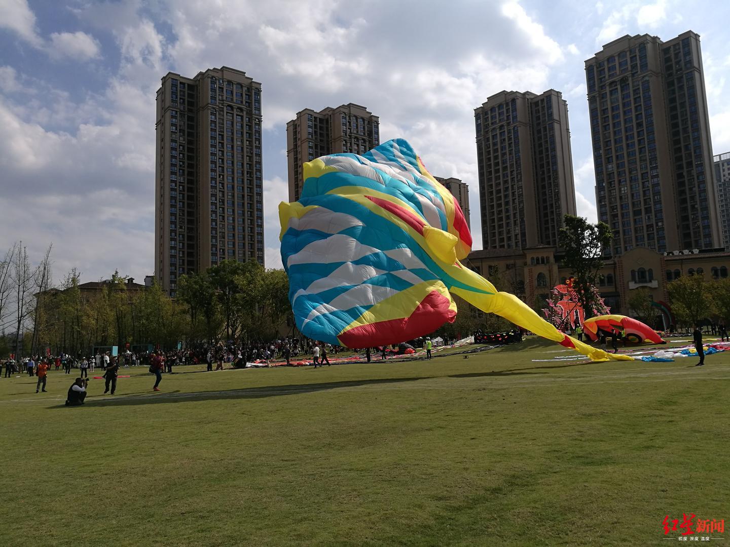 筝奇斗艳成都首届风筝艺术节开始啦