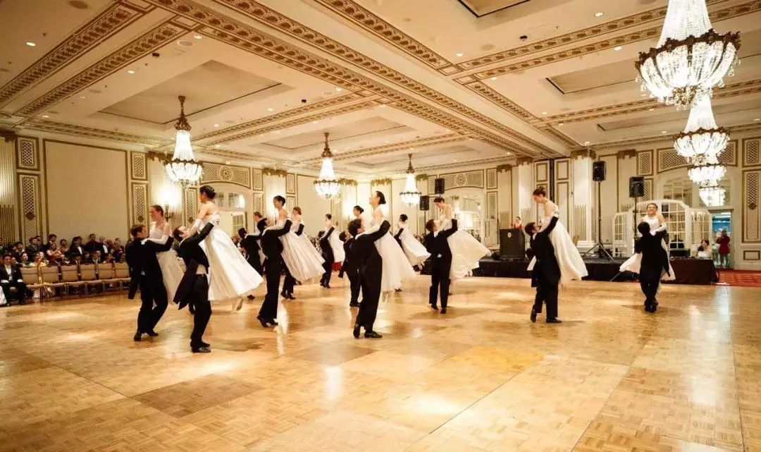 奥地利维也纳|华尔兹|舞会_新浪网