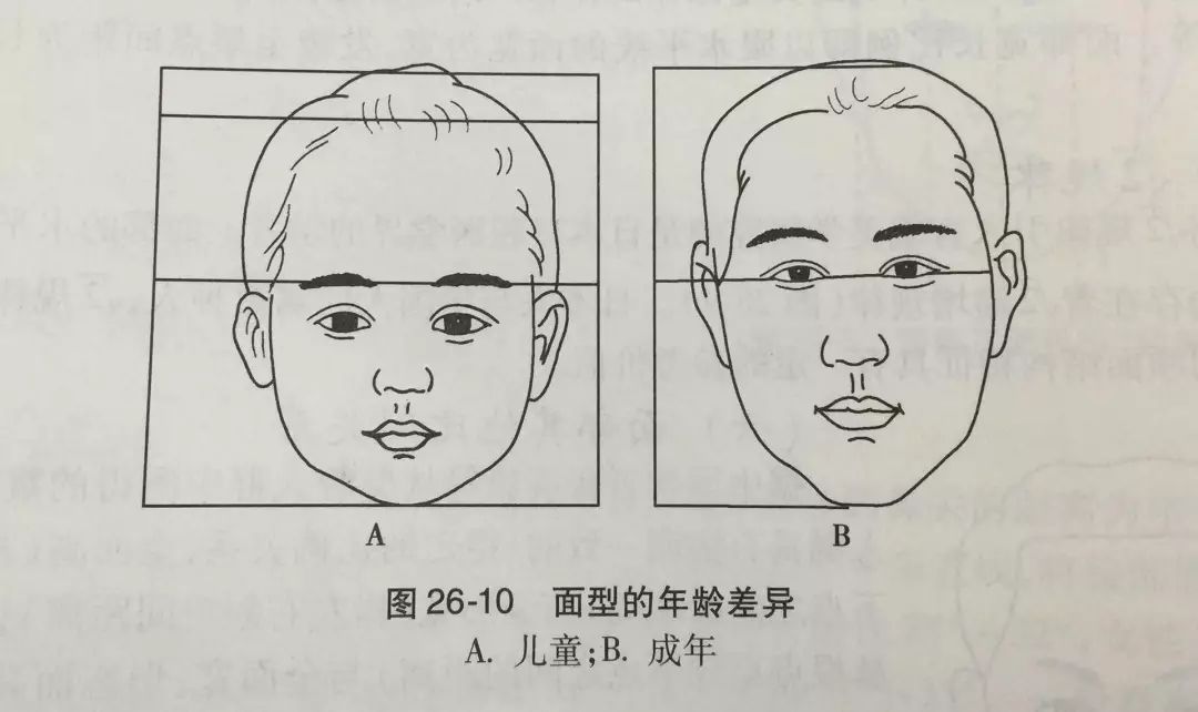 额头看起来没那么大,五官也开始显现突出,也就是俗话说的「长开了」