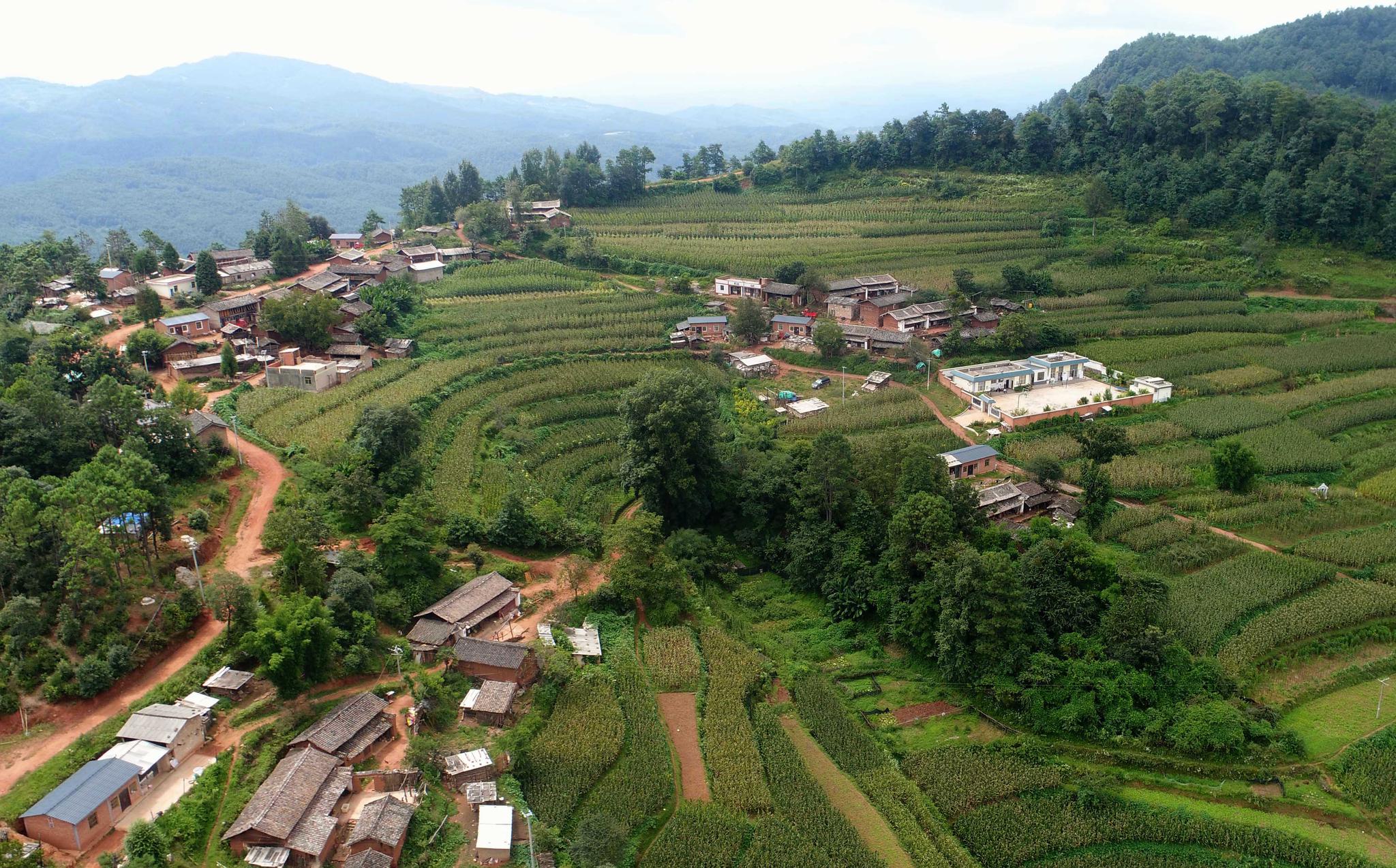 坚守云南大山深处小学校38年的山村教师