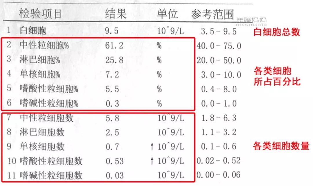 宝宝有没有贫血,看这个最简单|白细胞|贫血|血小板_新浪新闻