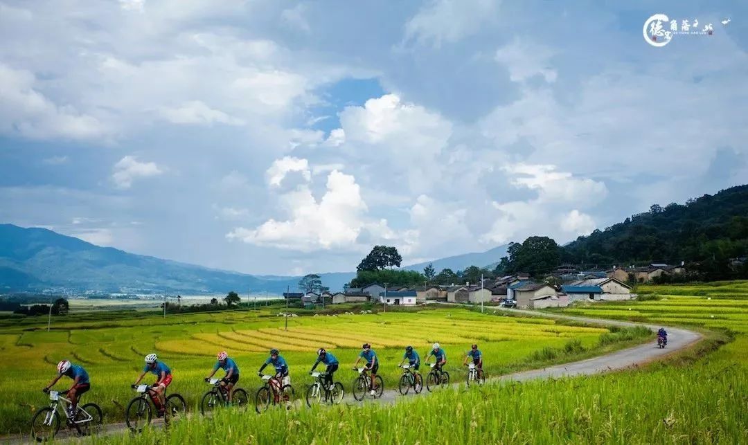 德宏最佳旅行地.,山水田园芦花荡漾!|白象|青龙|德宏_新浪新闻