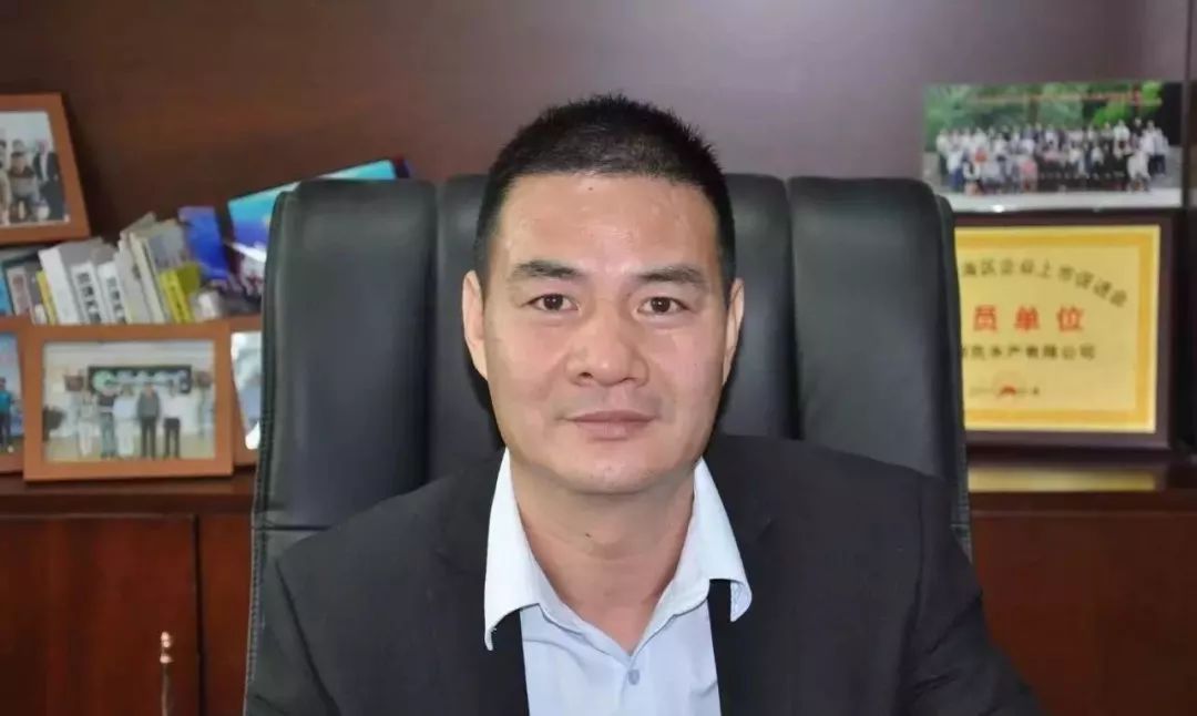 西樵镇的广东何氏水产有限公司董事长何华先其中,……有宁冒破产风险