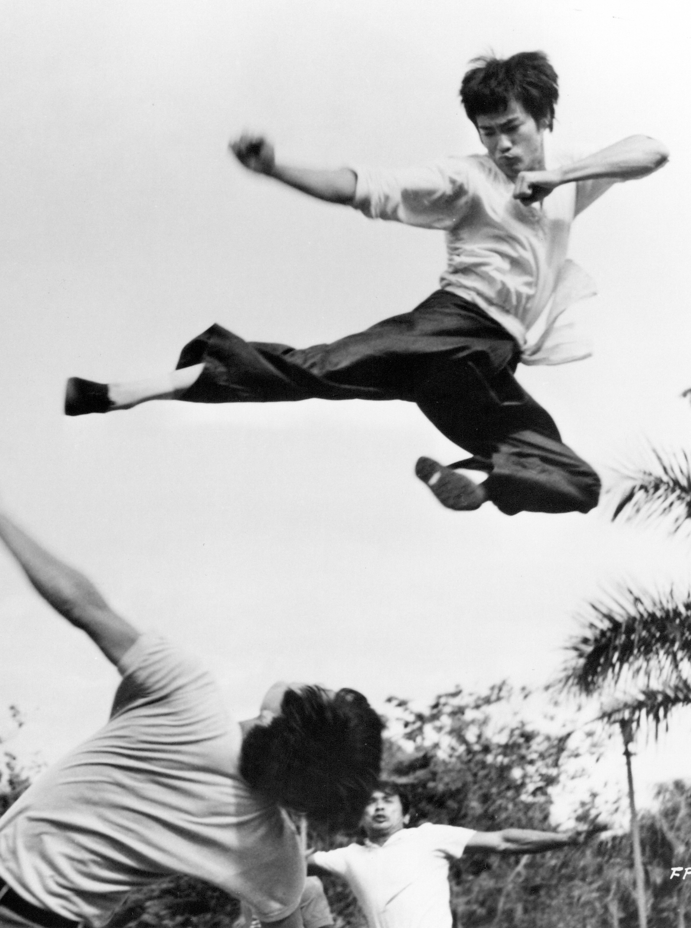 48年前,影史最强功夫巨星踏上征程丨日签