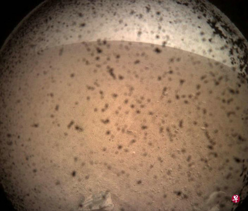 洞察号传回火星的第一个影像。（新加坡《联合早报》网站）