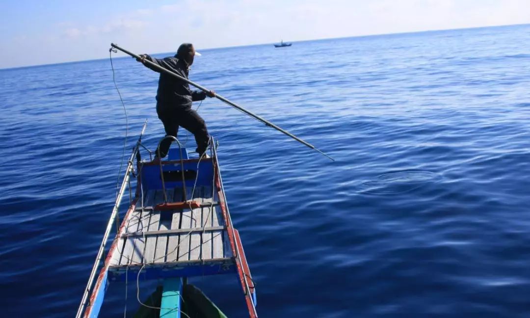台湾风味人间里的镖鱼少年镖不尽的人间孤独
