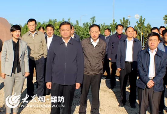 潍坊市委常委,组织部长,寿光市委书记林红玉带队到纪台镇郭家村大棚