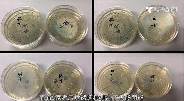 錦江之星酒店, 毛巾和被套的細(xì)菌總數(shù)超標(biāo);