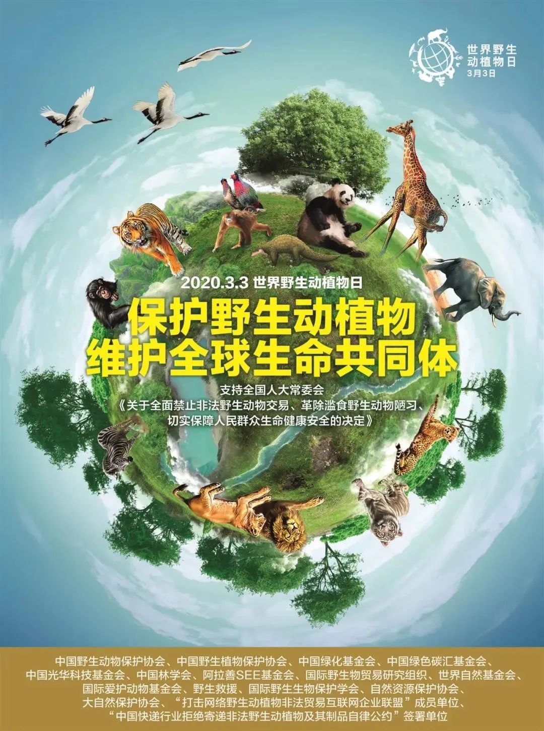 世界野生动植物日 | 我们和野生动物的约定---同栖共存