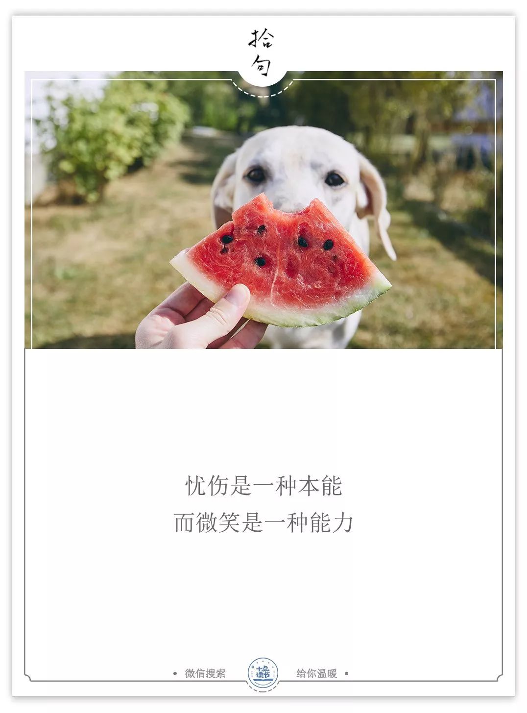 聊天记录千万别截图|截图|浓情|甜言蜜语_新浪新闻