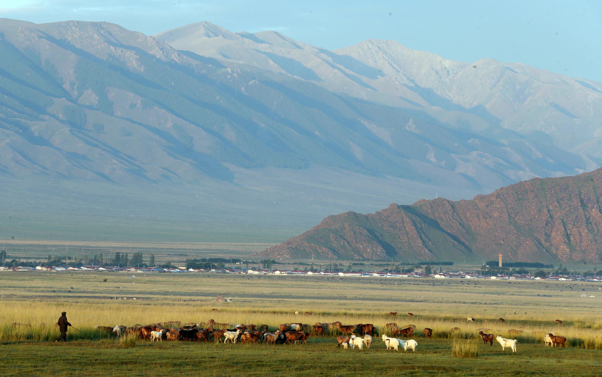 秋日巴里坤草原