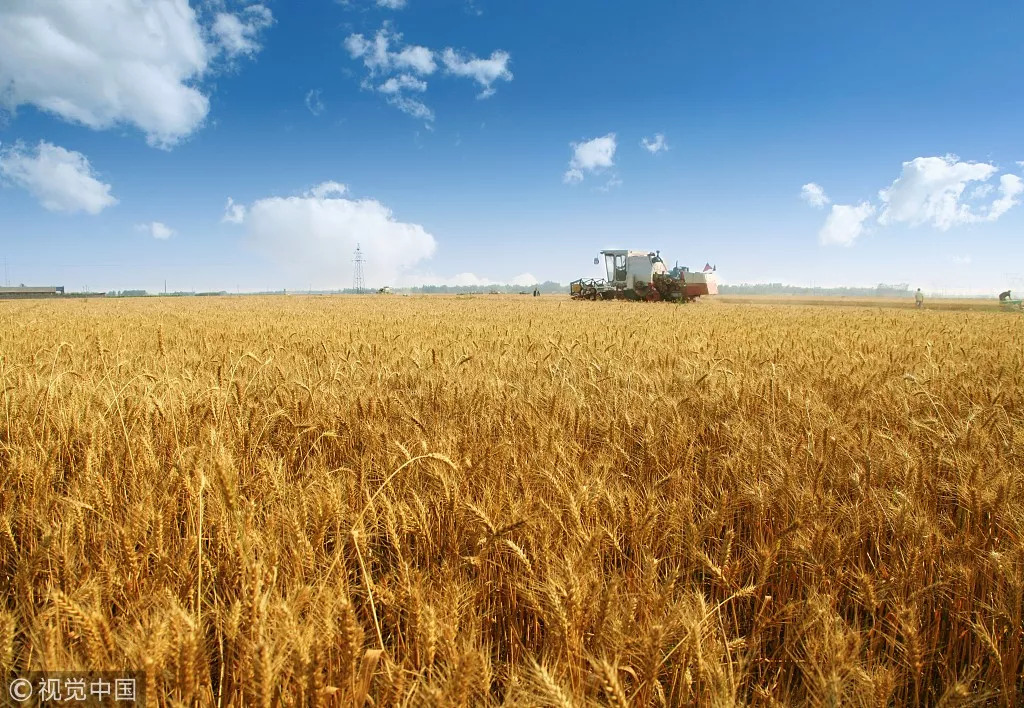 俄媒:俄拟出租100万公顷远东土地 中国人最感兴趣|远东|农场主|俄罗斯