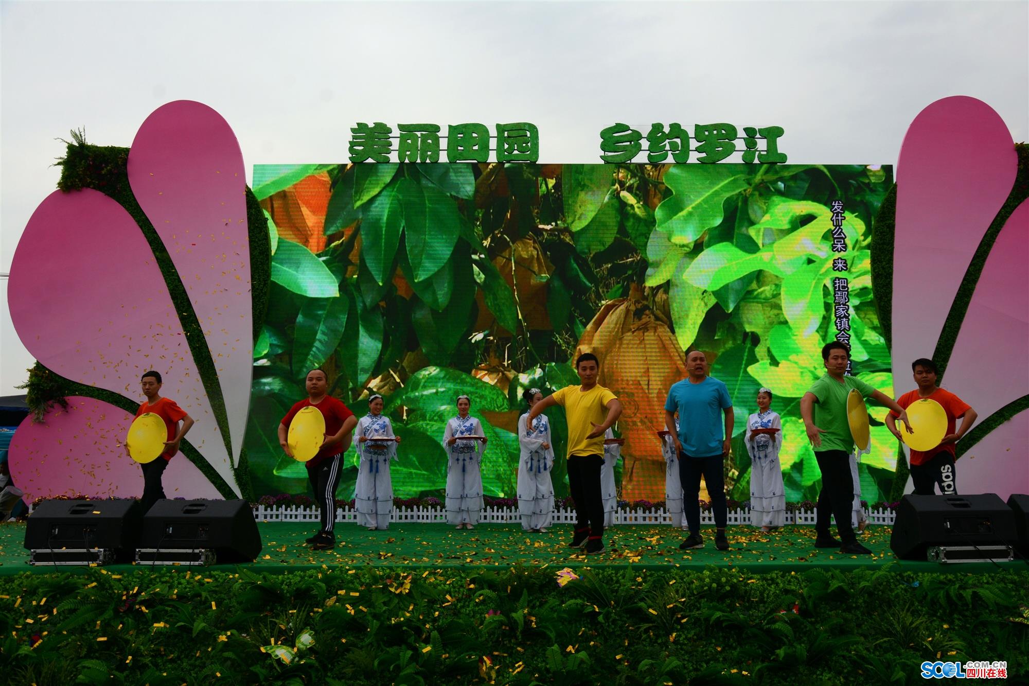 罗江梨花"美爆了" 周末赏花不来罗江你就亏了