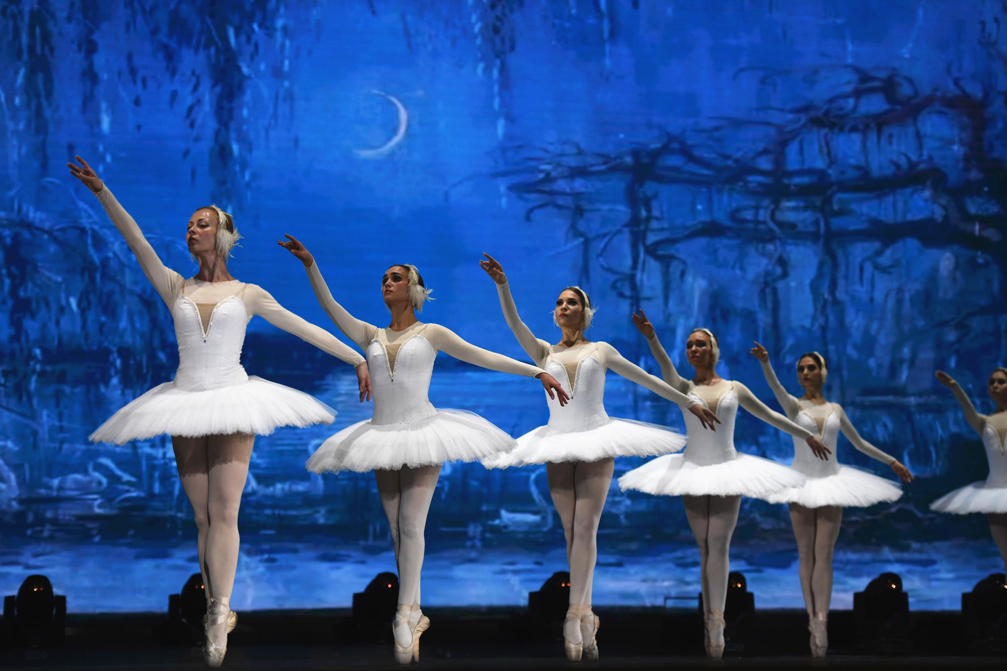 我校举办芭蕾舞剧天鹅湖专场演出