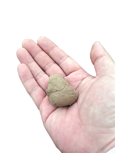 草料加散养 养猪无臭味?