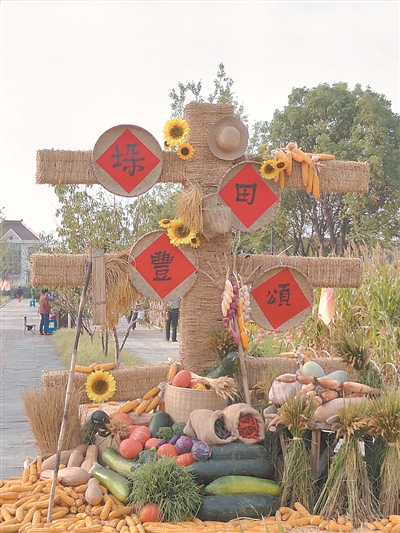 我省乡村振兴崛起"东罗样本"