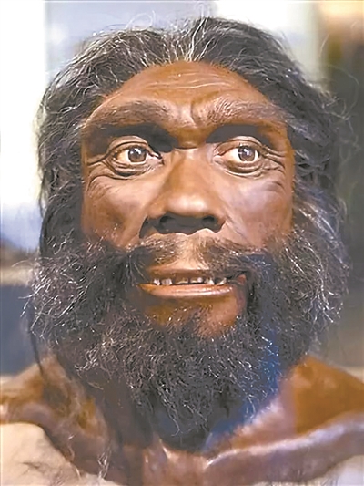 海德堡人揭示人类演化过往未来