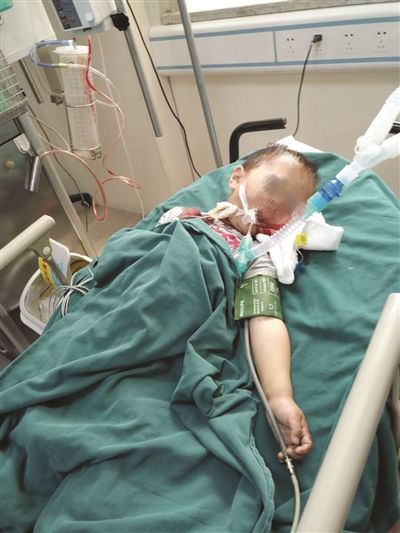 200多斤重钢化玻璃从墙上剥落4岁男孩被砸身亡