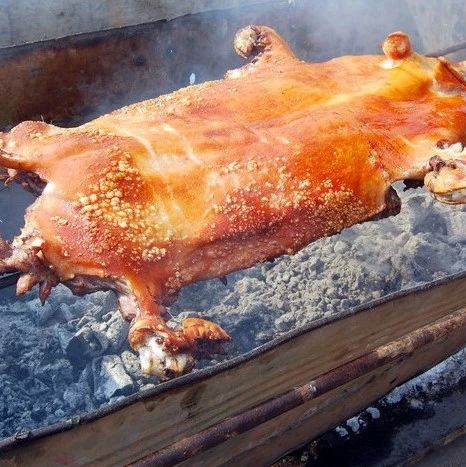 【魅力中国城│崇左味道】炭火烤猪:肥而不腻,香脆多汁|魅力中国城|炭火|大新_新浪新闻