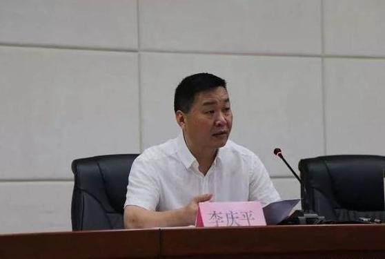 武汉市公安局黄陂区分局局长李庆平被查