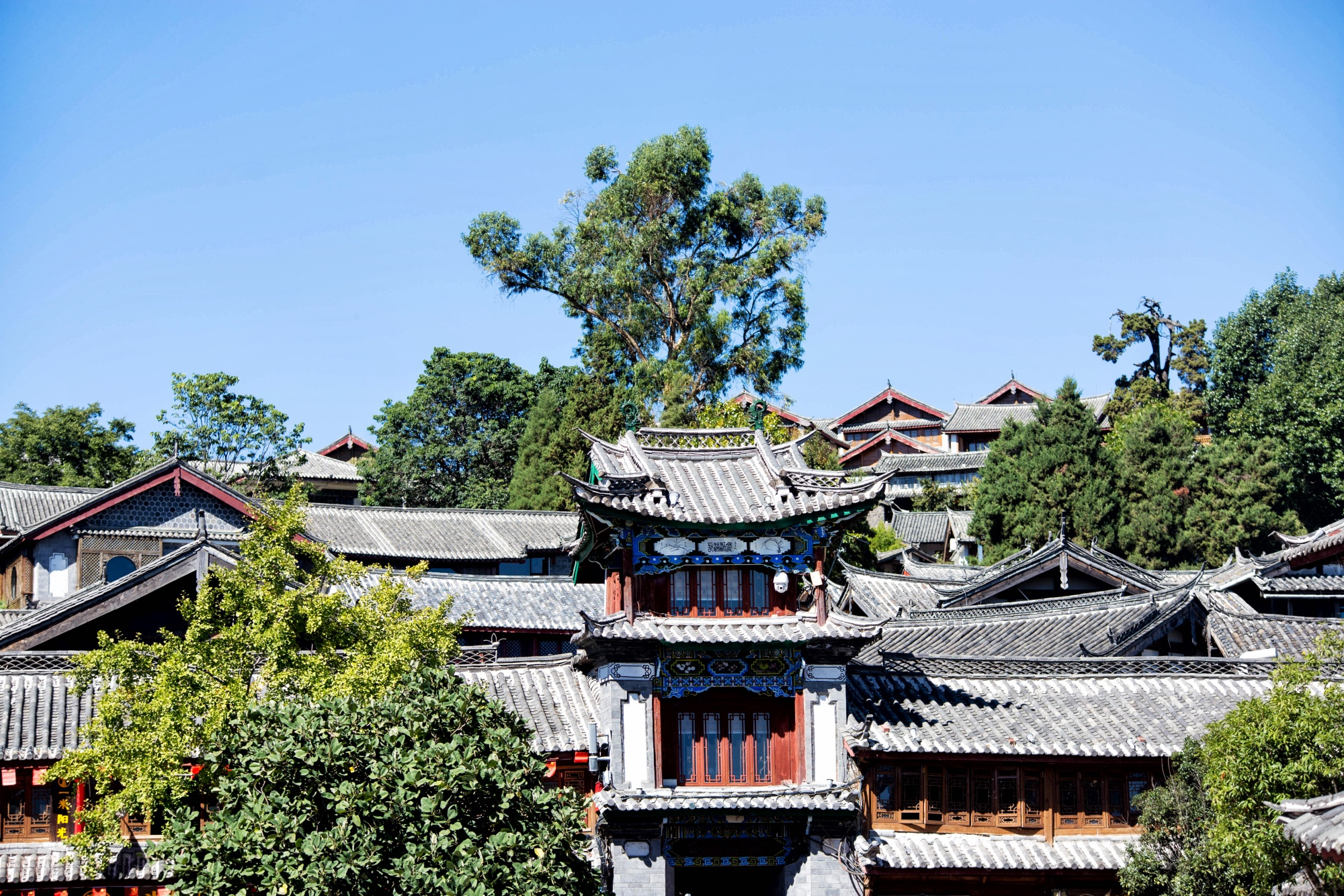 风景无罪丽江古城依旧美丽但旅游乱象令游客望而生畏