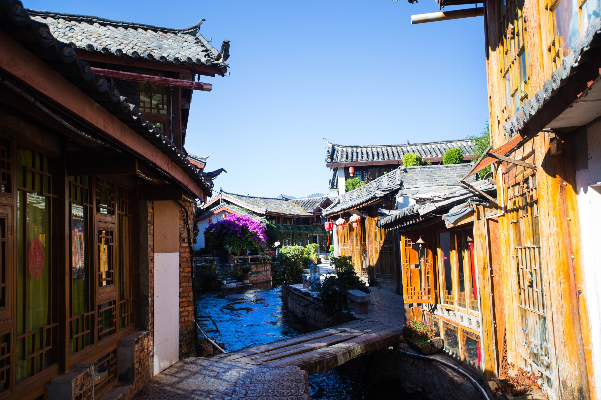 风景无罪丽江古城依旧美丽但旅游乱象令游客望而生畏