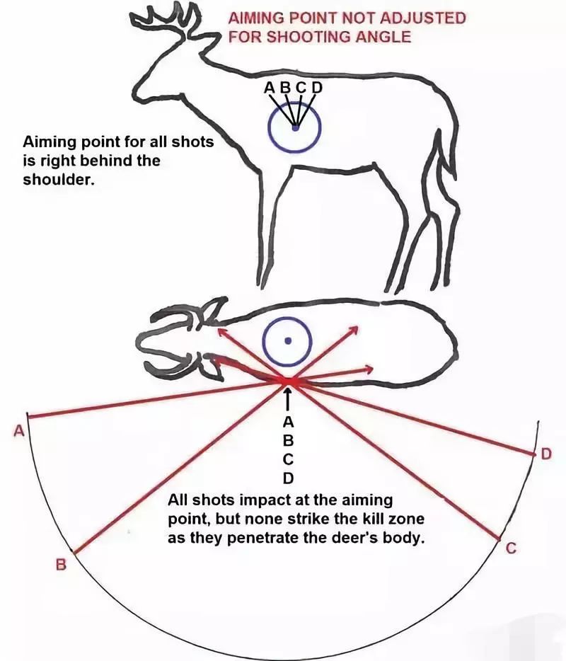 射击首选心脏部位
